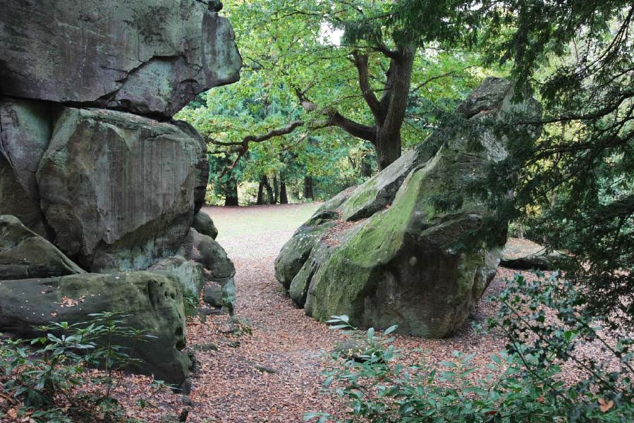 Rock outcrops, sandstone