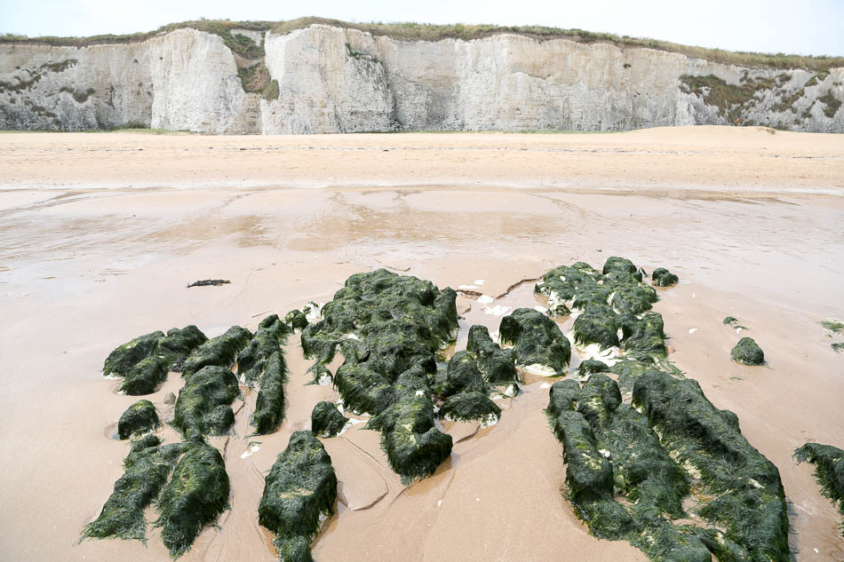 White cliffs, cliffs