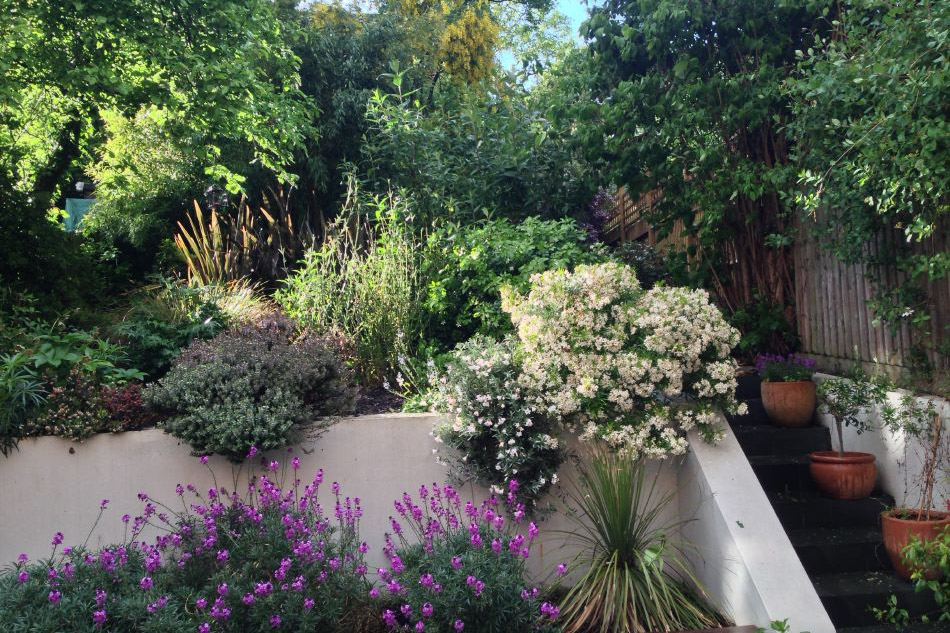 gardens - patio