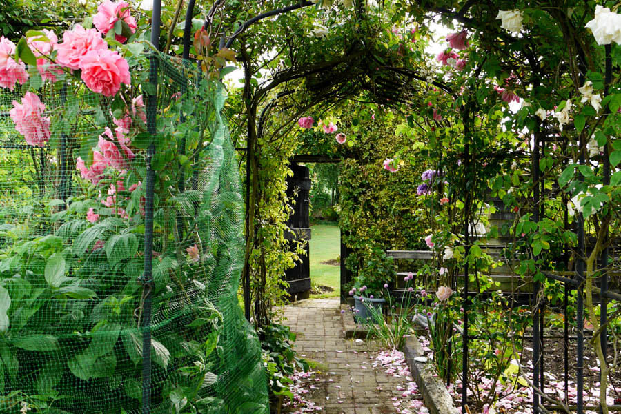 HC476, 10564, Hertfordshire, gardens - family, Gardens - Country House