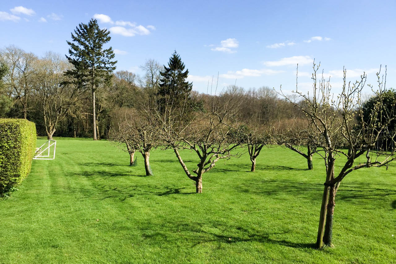 country gardens, orchards, Gardens - Country House