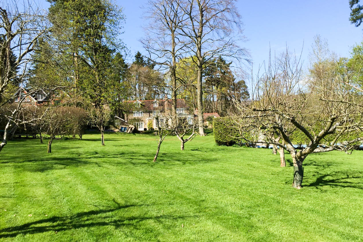 orchards