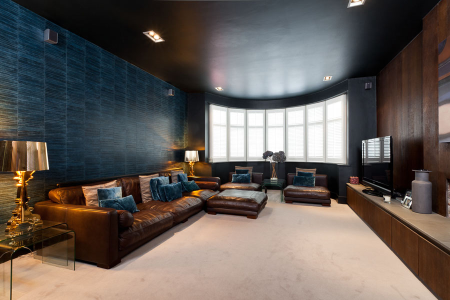 cinema rooms,  Masculine Masculine