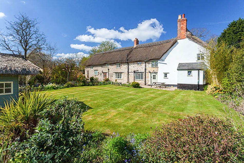 Thatch