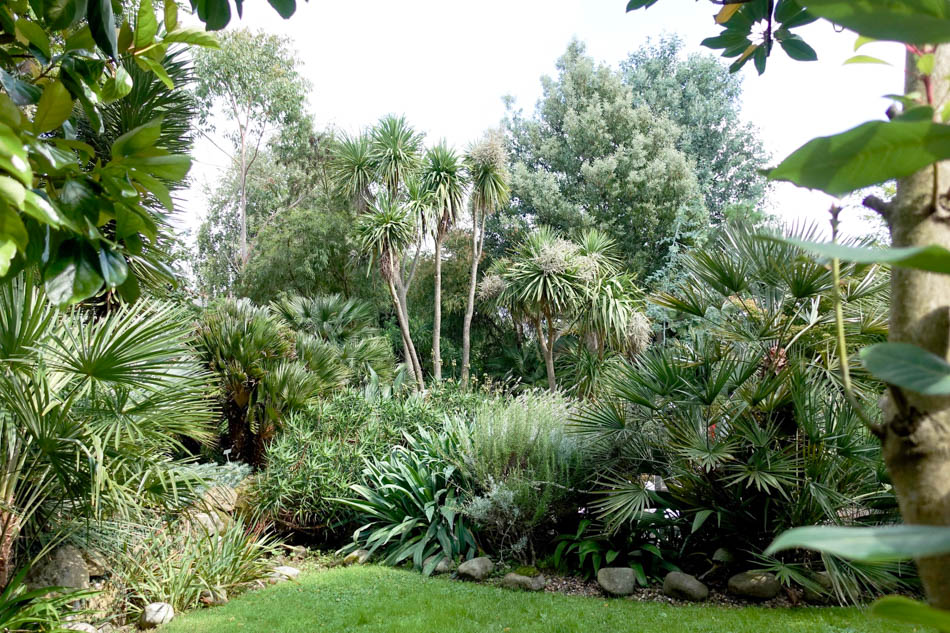 Gardens - Tropical