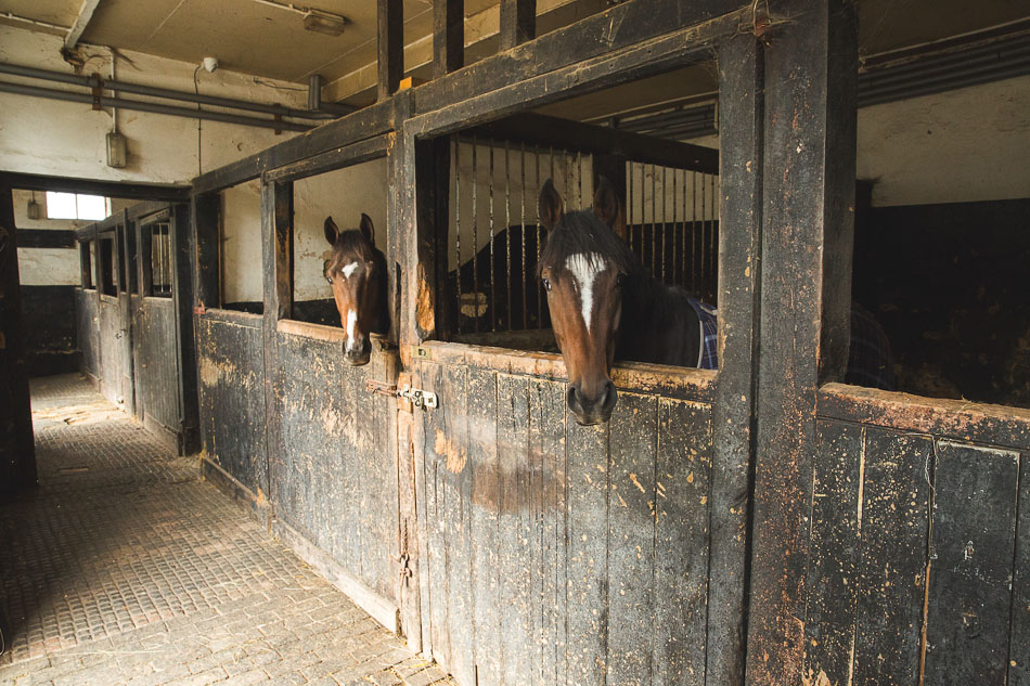 Country Estate, Country Estates, Stables