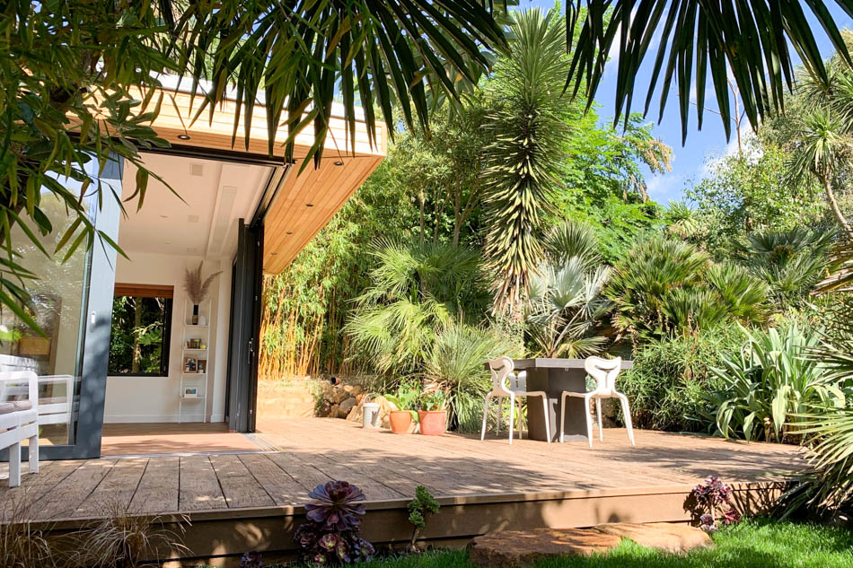 Contemporary South East London house opening onto a mature tropical garden and timber terrace