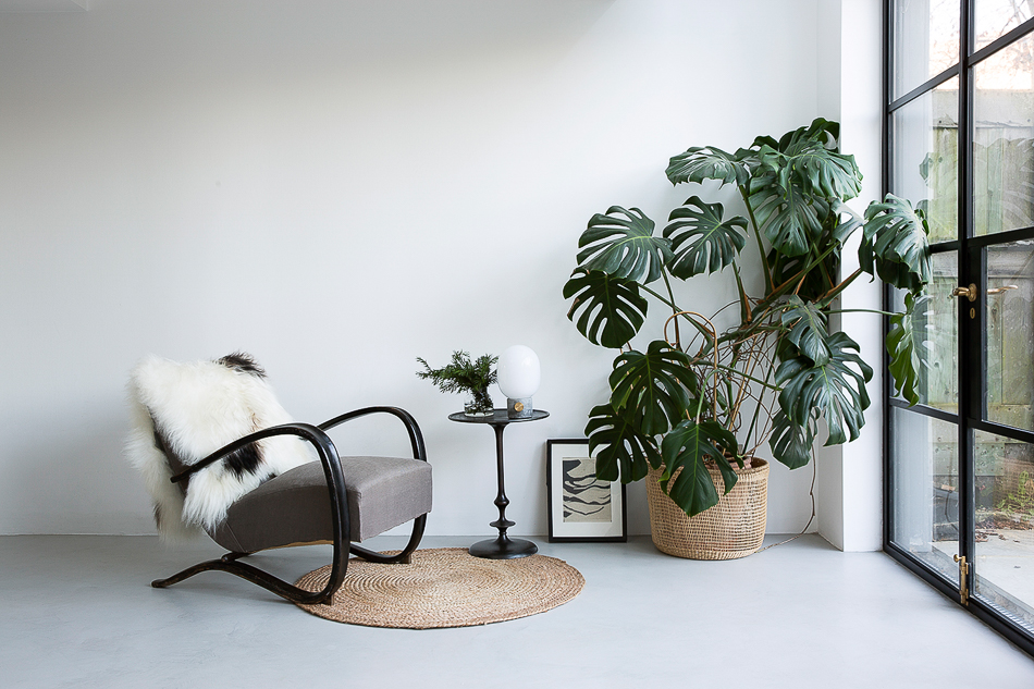 RES-9488, 12715, London, East London, Hackney, Houses - Lifestyle & Stylish, Houses - Victorian & Edwardian, Lifestyle, Sitting Rooms, Sitting Rooms - Lifestyle, Concrete, Neutral, Crittall Windows