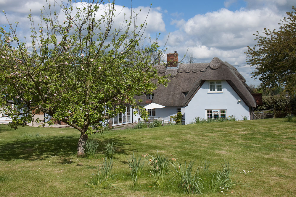 Thatch, Thatched Cottages, 